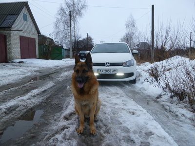 Дневные ходовые огни на VW Polo седан