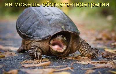 Про водительский стаж, и опасных водителей.