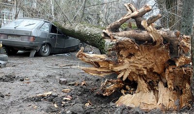 ЮМОР. Рассказы, стишки, анекдоты, видео и т.д.