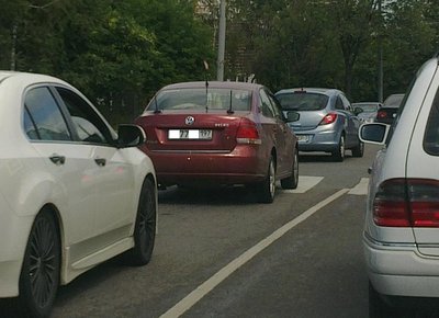 Встречи на дорогах Москвы и МО
