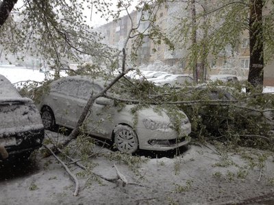 Первый весенний снег ) 11.05.2013