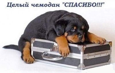 Поздравляем с Днем рождения!