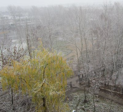 Орёл. Болталка