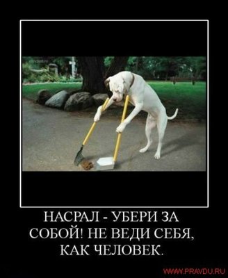 [ ::: ]