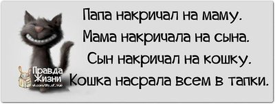 ЮМОР. Рассказы, стишки, анекдоты, видео и т.д.