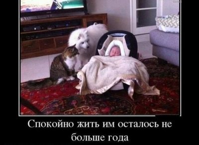 [ ::: ]