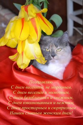 с 8 марта
