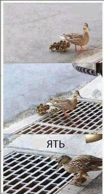 [ ::: ]