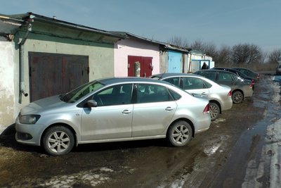 Встреча половодов в Туле