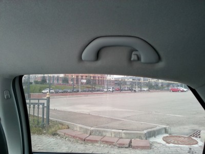 ручка салонная