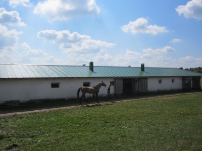 Тульская встреча клуба 09.08.14