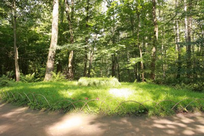 Polo-Multi-Tula021.JPG Тульская встреча клуба 09.08.14