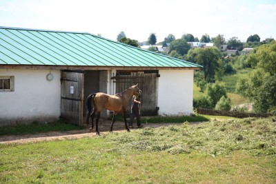 Polo-Multi-Tula011.JPG Тульская встреча клуба 09.08.14