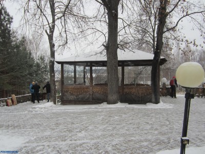 Встреча первого снега в Орле 29.11.2014
