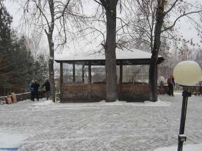 Встреча первого снега в Орле 29.11.2014