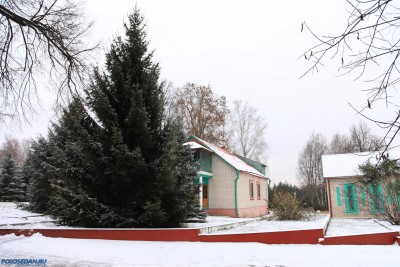 Встреча первого снега в Орле 29.11.2014