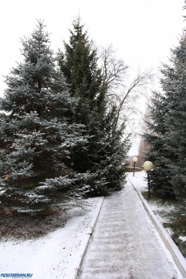 Встреча первого снега в Орле 29.11.2014