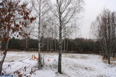 Встреча первого снега в Орле 29.11.2014