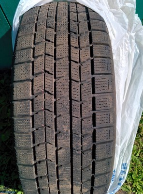 Зимняя резина Dunlop graspic DS3 195/55/15 Москва