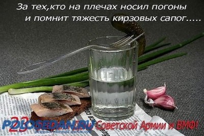 с 23 февраля!