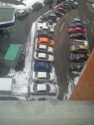 Встречи на дорогах Москвы и МО