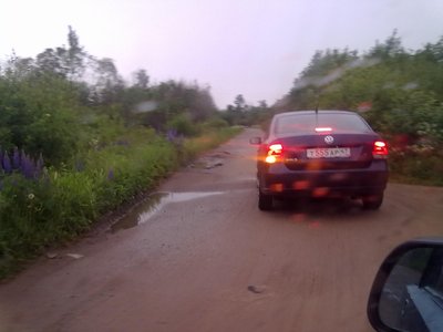Встречи на дорогах Санкт-Петербурга и ЛО