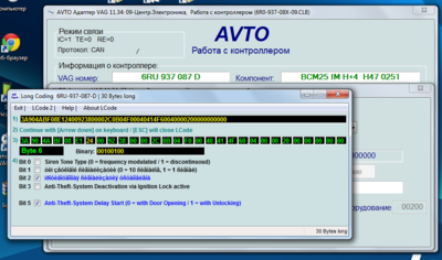 Работа с адаптерами VAG-COM, VCDS: допы, функции, ошибки (+)