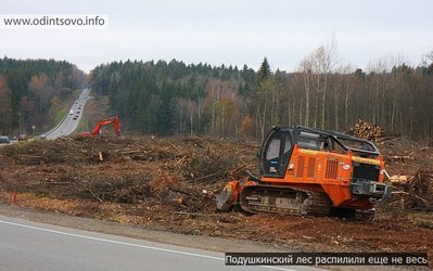 Обо всем и сразу